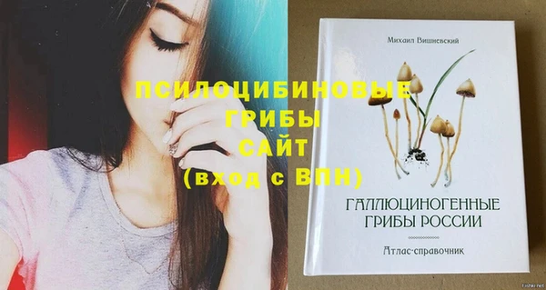 МДПВ Магадан