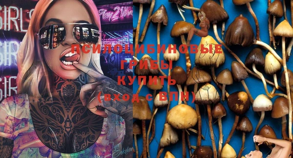 МДПВ Магадан