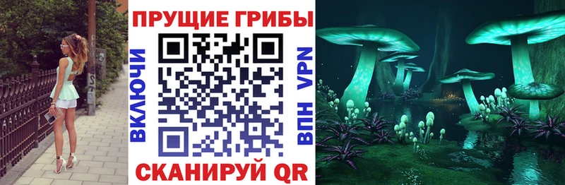 закладки  Новосибирск  Галлюциногенные грибы мухоморы 