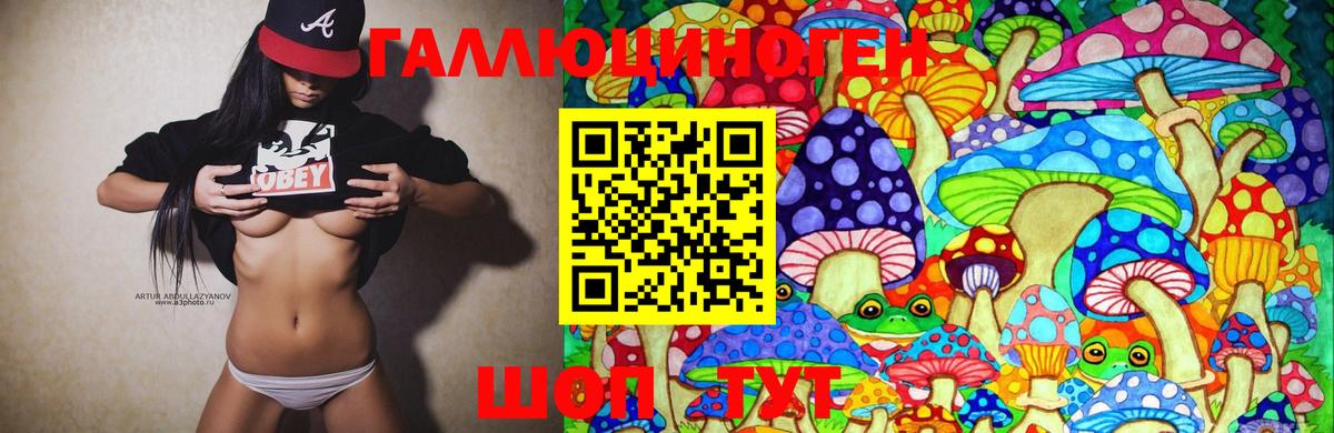 Галлюциногенные грибы MAGIC MUSHROOMS  Новосибирск 