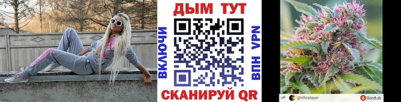 кракен сайт  Новосибирск  Бошки марихуана Amnesia  что такое  